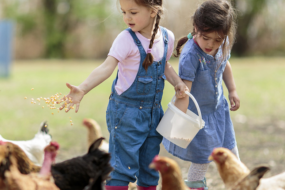 Pilgrim’s Gift Funded Construction of Agricultural Education Center