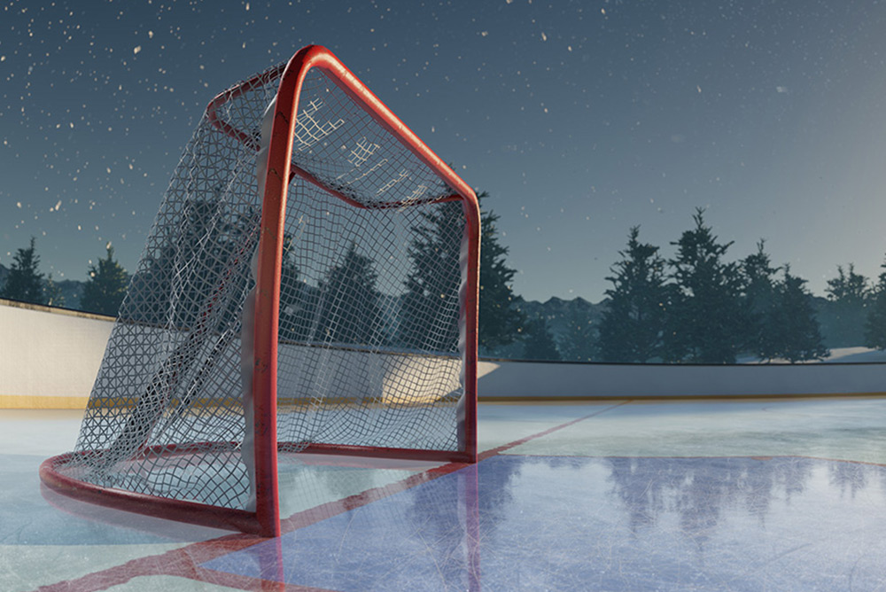 Pilgrim’s Gift Upgraded Hockey Rink