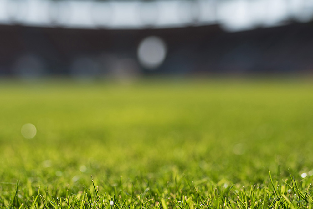 Pilgrim’s Gift Created Outdoor Activity Areas