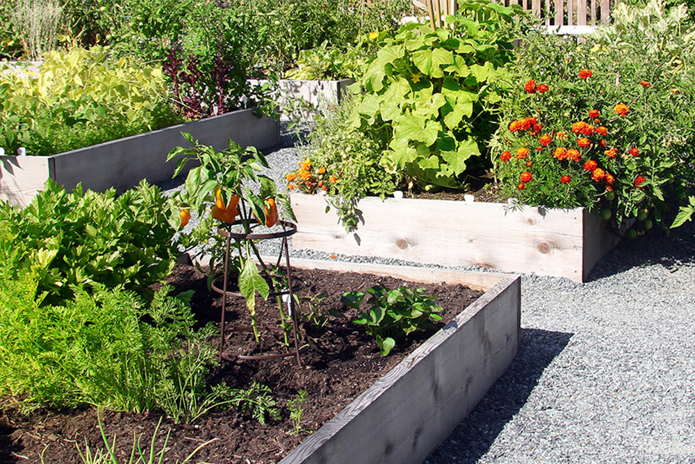 JBS USA Donation of Land, Funds Developed East Side Community in Green Bay