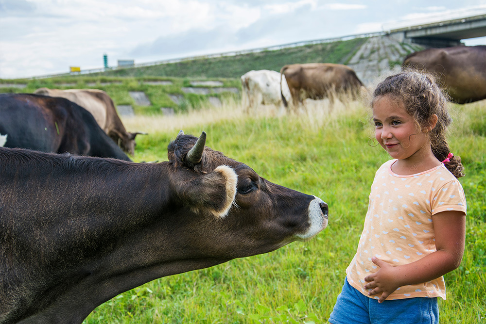 Pilgrim’s Donation to High School Ag Facility Improvements